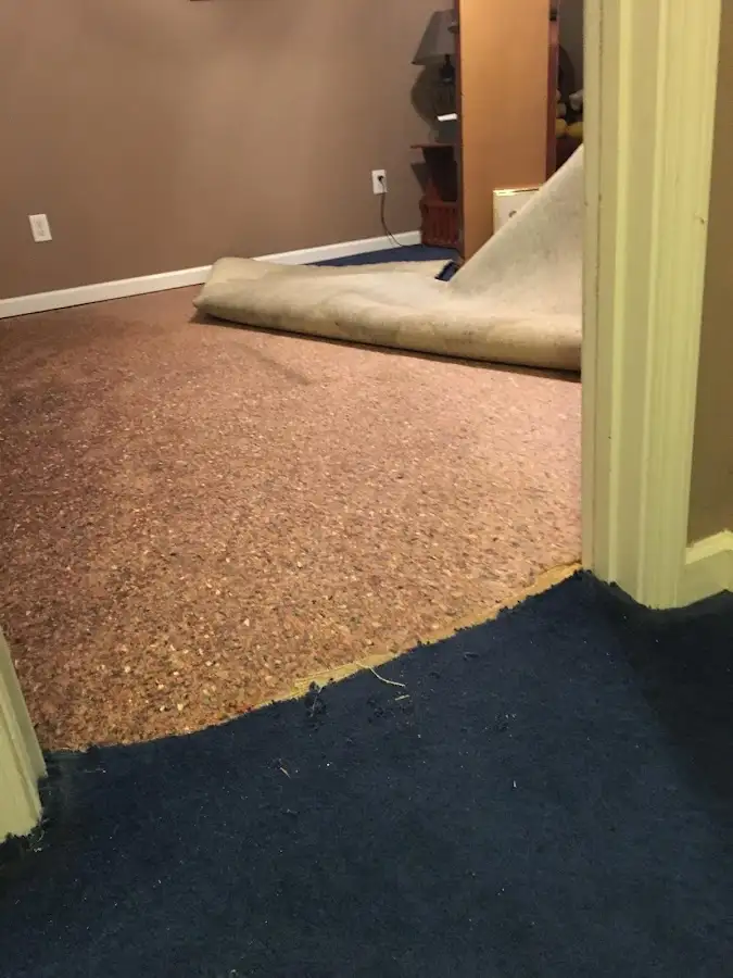 Carpet pad removal revealing water damage during Drying & Dehumidification in Columbia City