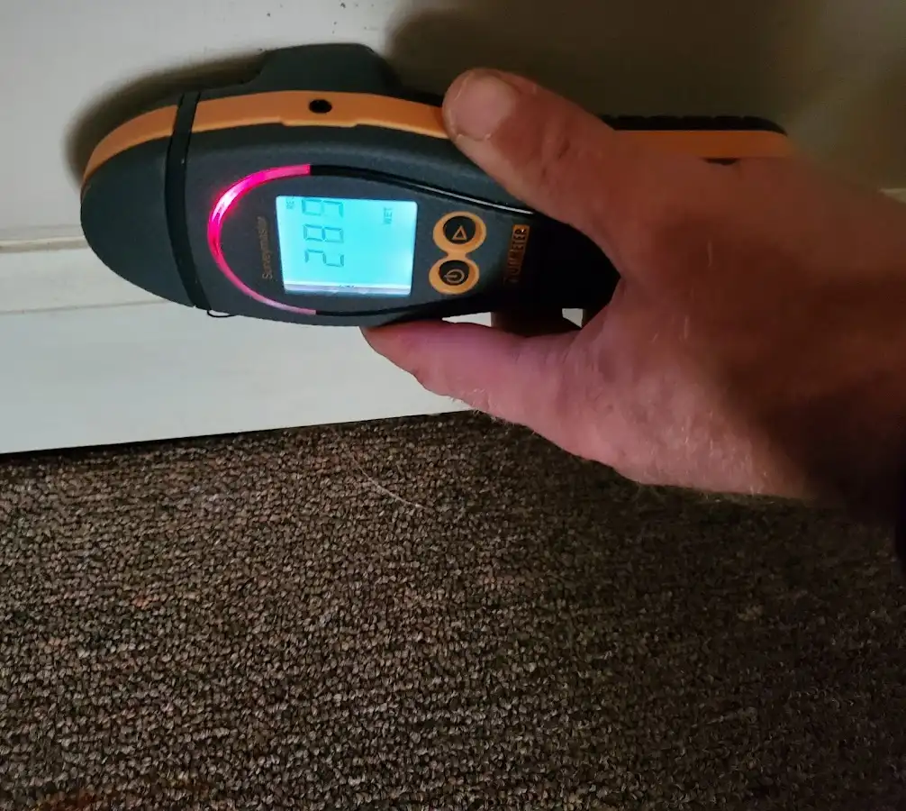 Moisture detection at baseboard during Mold Inspection & Testing in Columbia City